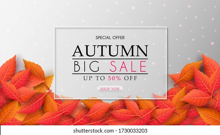 Autumn sales banner design with colorful seasonal fall leaves. and concept autumn advertising. for shopping discount promotion, frame leaflet or web banner. and used as illustration or background.