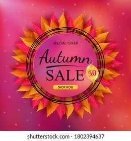 Autumn sales banner design and colorful seasonal fall leaves. and concept autumn advertising. for shopping discount promotion, frame leaflet or web banner. and used as illustration or background.