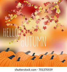 autumn say hello