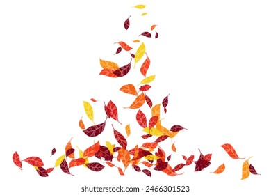 Autumn scattered birch leaves in traditional Fall colors - orange, yellow, red, brown. Vector illustration. Back to school concept background.