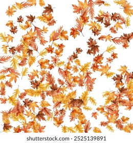 Autumn scattered mix tree leaves in traditional fall colors - orange, yellow, red, brown. Vector illustration. Autumn leaves dry foliage falling and flying background design