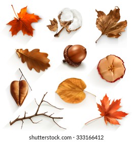 Autumn Scrap Set, Vector Elements