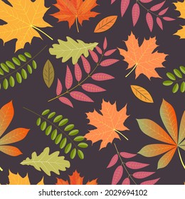 Autumn seamless background. Bright leaves on a dark background.