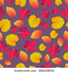 Autumn seamless background with colorful leaves. Design for fall season posters, wrapping papers and holidays decorations. Vector illustration