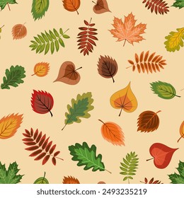 autumn seamless background. vector illustration depicting a variety of colorful fallen leaves, acorns and rowan berries on a light background. An autumn-themed drawing