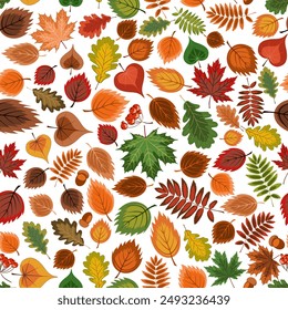 autumn seamless background. vector illustration depicting a variety of colorful fallen leaves, acorns and rowan berries on a white background. An autumn-themed drawing