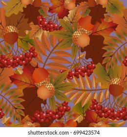 Autumn seamless background, vector illustration