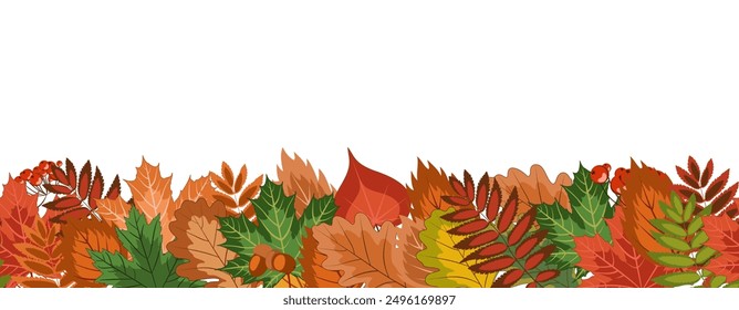 autumn seamless border, a lot of bright fallen leaves, acorns and rowan berries lie in a horizontal strip from below. colorful vector illustration on an autumn theme. isolated on white