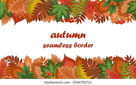 autumn seamless border, a lot of bright fallen leaves, acorns and rowan berries  lie in a horizontal strip from below and above. colorful vector illustration on an autumn theme. isolated on white