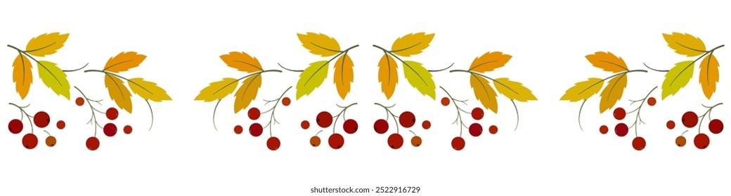 Autumn seamless border of leaves. Repeating floral ornament. Holiday pattern of bright leaves and berries on white background. Decor for Thanksgiving Day. Fall seasonal design with rowan berries.