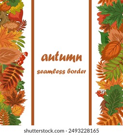 autumn seamless border. vector illustration of a variety of colorful fallen leaves, acorns and rowan berries arranged in a vertical line. An autumn theme drawing