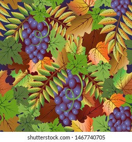 Autumn seamless card with grape fruit, vector illustration