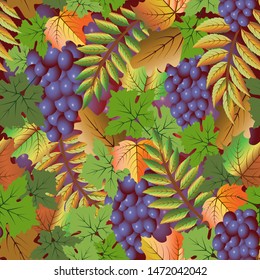 Autumn seamless card with grape fruit, vector illustration