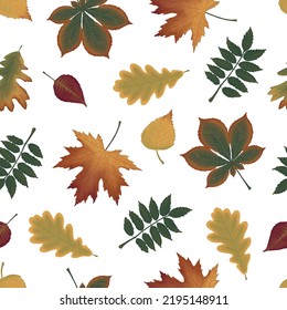 Autumn seamless natural pattern of fall leaves. Vector floral background.