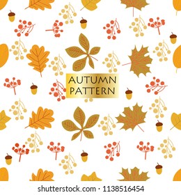 Autumn seamless pattern  background  with leaves.