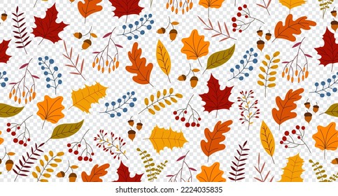Autumn seamless pattern with berry, plants, leaves, acorns. Charming autumn pattern. Seamless pattern on an autumn theme. Hand drawn. Vector illustration
