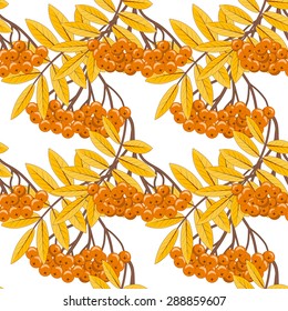 Autumn seamless pattern with branches of rowan on a white background. Vector eps 10.