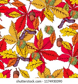  autumn seamless pattern, colored oak and chestnut leaves and acorns, chestnuts, maple seeds, white background vector, hand drawing
