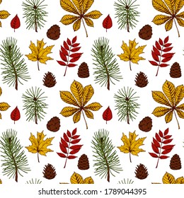 Patrón de otoño sin fisuras con conos, hojas, ramas de árboles de Navidad aisladas en fondo blanco. Ilustración vectorial de boceto de color dibujado a mano. Arte de línea de época