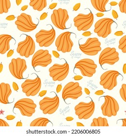 Patrón ininterrumpido de otoño con calabazas acogedoras y elementos estacionales sobre fondo blanco.Calabazas de otoño dibujadas a mano. Textura para la reserva de recortes, papel de envoltura, invitaciones.