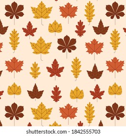 Autumn seamless pattern with different leaves and plants, seasonal colours. Ideal for wallpaper and prints.