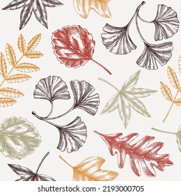 Autumn seamless pattern with fall leaves and dried flower sketches. Thanksgiving background. Vector dried plants, autumn leaves, mushrooms backdrop. Botanical illustrations for packaging or wallpaper