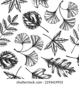 Autumn seamless pattern with fall leaves and dried flowers sketches. Thanksgiving background. Vector dried plants, leaves, and mushrooms backdrop. Foliage illustration for wallpaper, banner, packaging