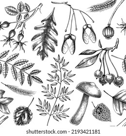 Autumn seamless pattern. Fall leaves background. Dried flower sketches. Hand-drawn forest plant, fallen leaves, mushrooms backdrop. For packaging, banners, wrapping paper, wallpaper, or fabrics