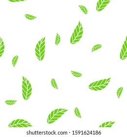 Autumn seamless pattern with green leaves on white background. Floral vector illustration for fabric, textile, wallpaper, posters, paper. Doodle style. Hand drow design. Eco concept. 