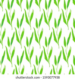 Autumn seamless pattern with green leaves on white background. Floral vector illustration for fabric, textile, wallpaper, posters, paper. Doodle style. Hand drow design. Eco concept. 