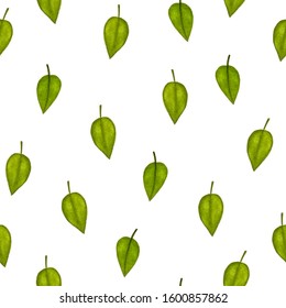 Autumn seamless pattern with green watercolor leaves on white background. Floral vector illustration for fabric, textile, wallpaper, posters, paper. Hand drow design. Eco concept. 