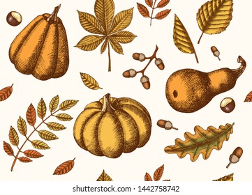 Autumn seamless pattern with  Hand drawn leaves and pumpkins. Leaves of maple, birch, chestnut, acorn, ash tree, oak. Sketch.  For wallpaper, web page background