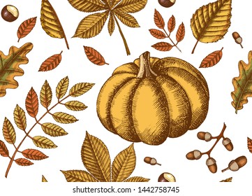 Autumn seamless pattern with Hand drawn colored leaves and pumpkins. Leaves of maple, birch, chestnut, acorn, ash tree, oak. Sketch.  For wallpaper, web page background
