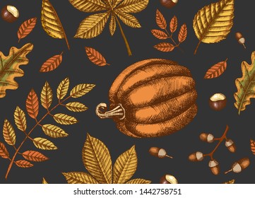 Autumn seamless pattern with  Hand drawn leaves and pumpkin on black. Leaves of maple, birch, chestnut, acorn, ash tree, oak. Sketch.  For wallpaper, web page background