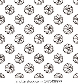 Autumn seamless pattern with hand drawn pumpkins on white background. Suitable for packaging, wrappers, fabric design.