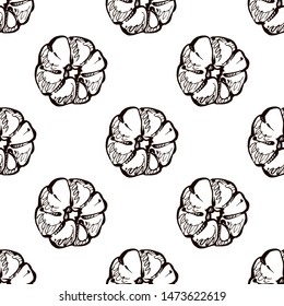 Autumn seamless pattern with hand drawn pumpkins on white background. Suitable for packaging, wrappers, fabric design.
