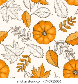 Autumn seamless pattern. Hand drawn vector illustration. Leaves and pumpkins hand drawn sketch. Autumn pattern colored sketch style. Engraved image.