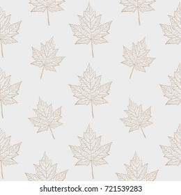 Autumn seamless pattern is isolated on a white background. Maple leaves. Vector.