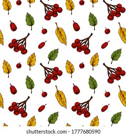 Autumn seamless pattern with leaves and berries isolated on white background. Hand drawn colored sketch vector illustration. Vintage line art