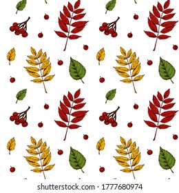 Autumn seamless pattern with leaves and berries isolated on white background. Hand drawn colored sketch vector illustration. Vintage line art