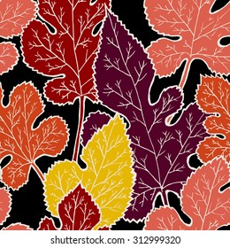 Autumn seamless pattern. Leaves of the mulberry tree with black background. Vector illustration.