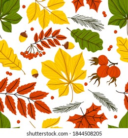 Autumn seamless pattern with leaves, rose hips, rowan berries and acorns