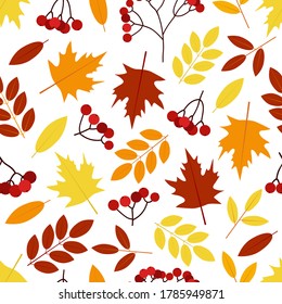 Autumn seamless pattern. Leaves and rowan.  Digital paper. Vector background. 