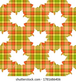 Autumn seamless pattern of maple (acer platanoides) leaves white silhouettes on checkered tartan plaid textile background of red, green, yellow, orange and pink colors
