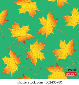 Autumn seamless pattern maple leaf leaves red yellow, isolated on green background vector illustration