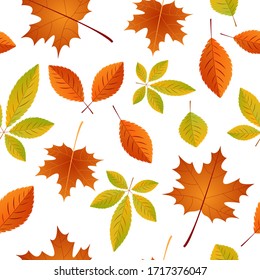 Autumn Seamless pattern with autumn maple leaves. Vector illustration