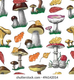 Autumn seamless pattern with mushrooms and berries. Vector illustration for your design