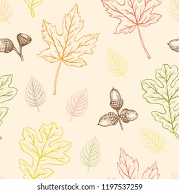 Autumn seamless pattern with oak and maple leaves and acorns. Hand drawn vector fall background.
