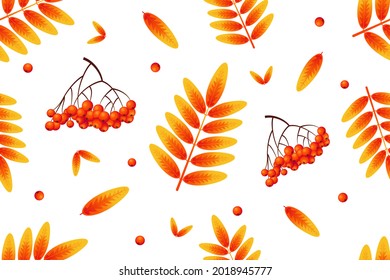 Autumn seamless pattern, orange leaves and bright rowan berries on white background. Ashberry. Perfect for wallpaper, gift paper, template fill, web page, autumn greeting cards. Vector illustration
