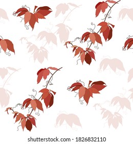 Herbst nahtloses Muster mit roten Blättern auf weißem Hintergrund. Vektorschmuck aus Herbstblättern.